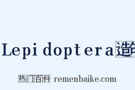 Lepidoptera造句是什么意思的图片